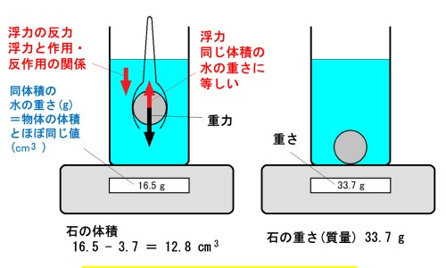 五味子副作用及禁忌症-五味子副作用及禁忌症、五味子有什么副作用吗? -五味子有什么副作用吗网
