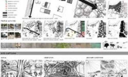 五味子副作用及禁忌症、五味子有什么副作用吗? -五味子有什么副作用吗网